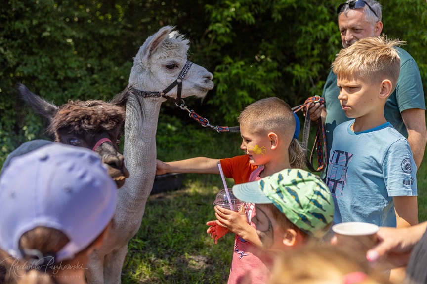 Gala firmowa w stylu Vegas